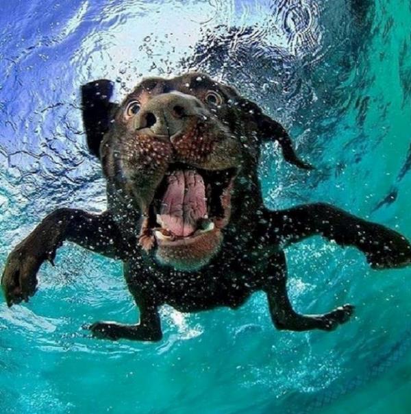 Davranış problemi öncesi sonrası